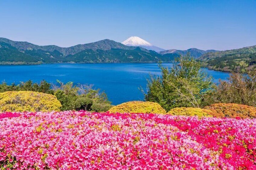 Mount Fuji and Hakone One Day joined Trip from Tokyo with lunch