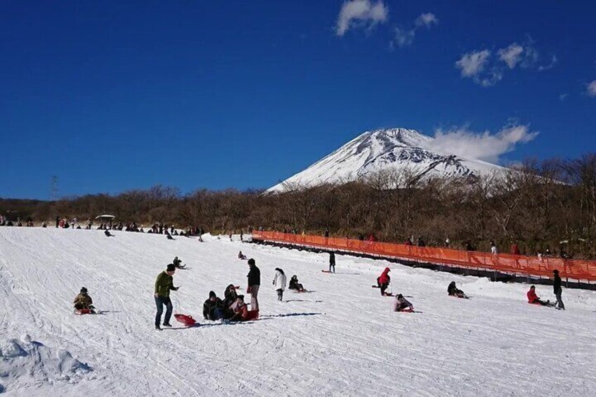 Mount Fuji and Hakone One Day joined Trip from Tokyo with lunch