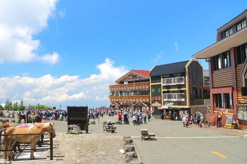 Mount Fuji and Hakone One Day joined Trip from Tokyo with lunch