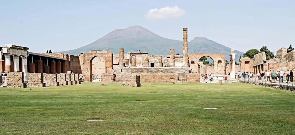 Picture 4 for Activity Vesuvius Valley and Pompeii with wine taste and lunch by Van