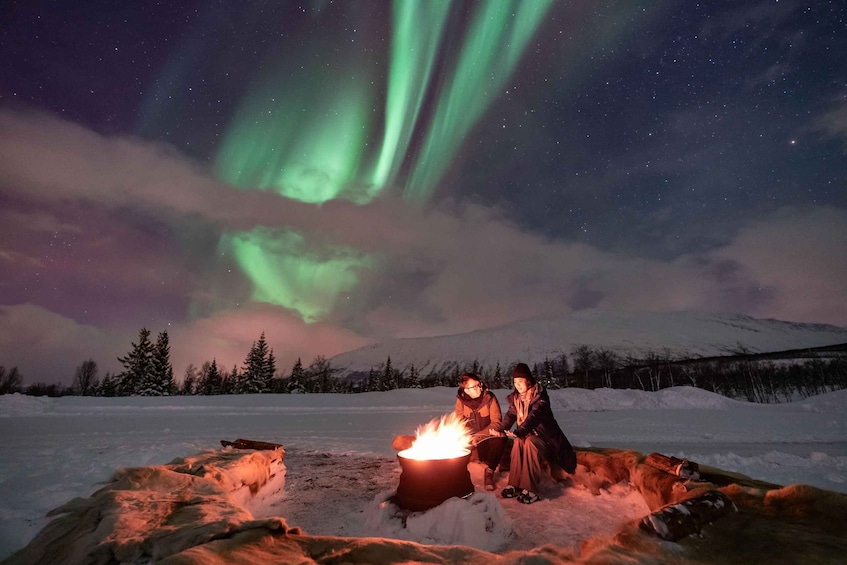 Picture 2 for Activity Tromso: Aurora Sky Camps