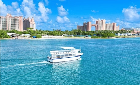 拿骚：珊瑚礁玻璃底潜水和浮潜之旅