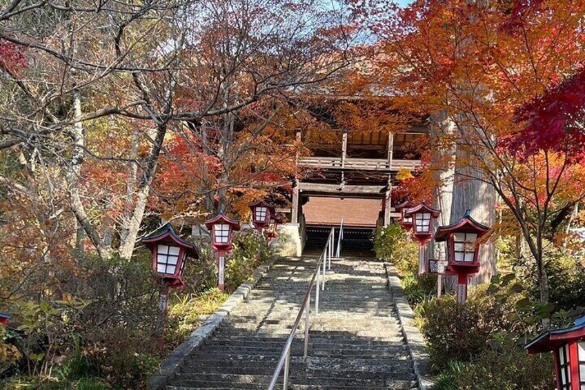 Train and Taxi Grape Temple and Winery Tour in Yamanashi