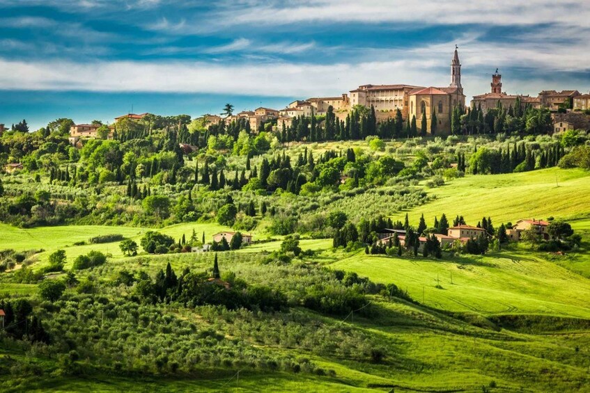 Brunello and Montepulciano Wine Tour - Private experience