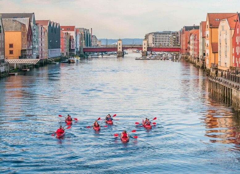 Picture 2 for Activity Private kayak trip down the Nidelva in Trondheim