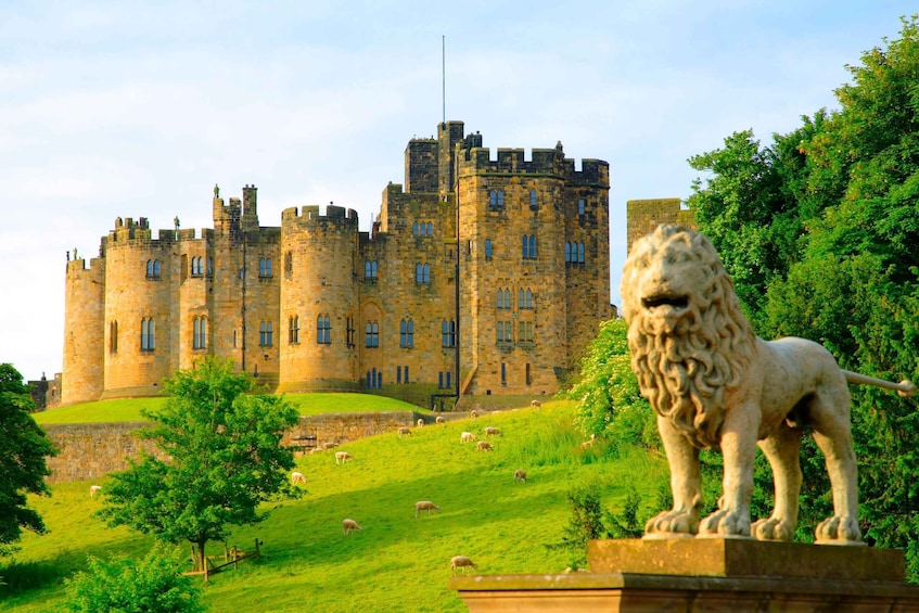 Alnwick: Alnwick Castle Ticket