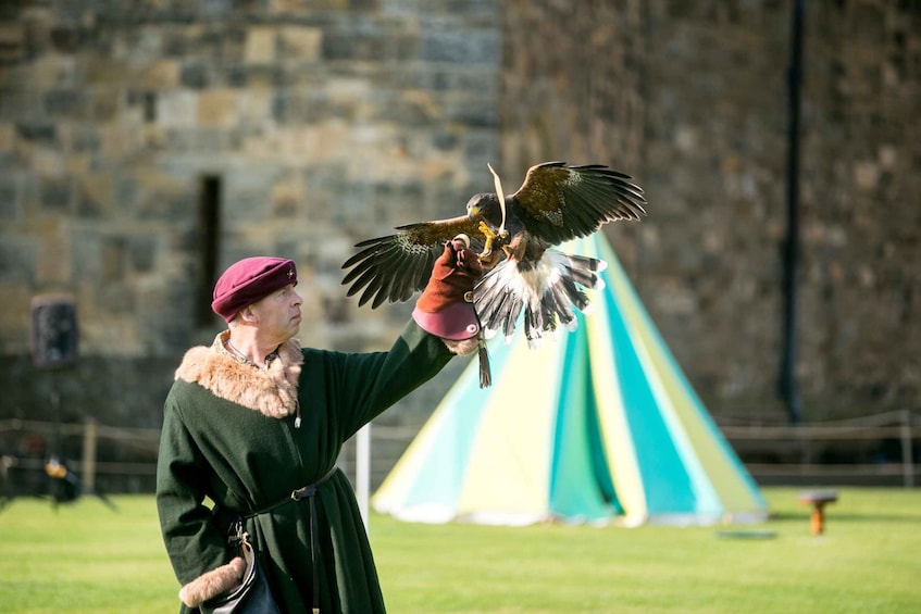 Picture 8 for Activity Alnwick: Alnwick Castle Ticket