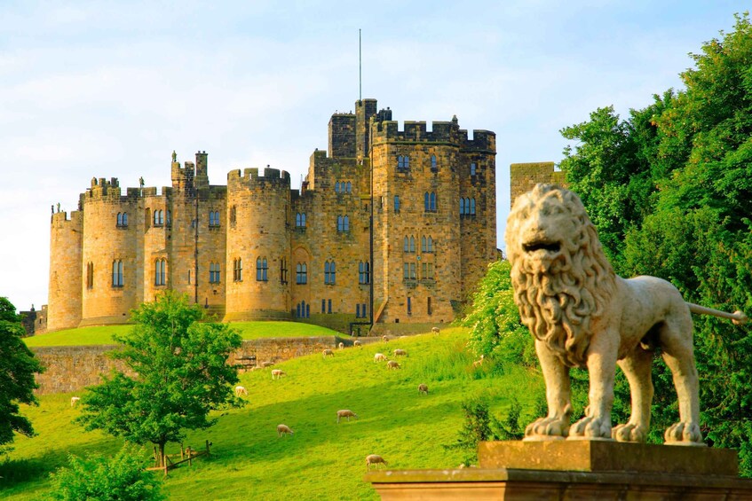 Alnwick Castle Ticket