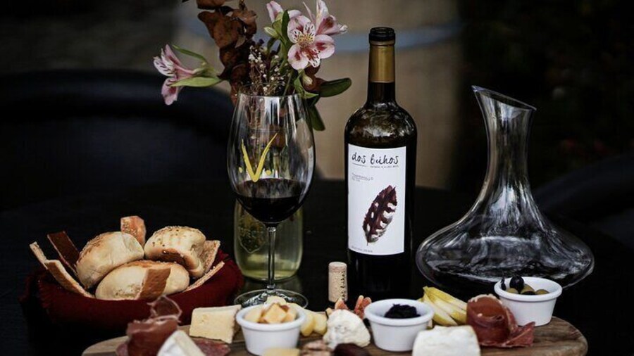 Guided tour and tasting of 4 wines at Viñedo Dos Búhos