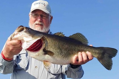 Kissimmee: Private Lake Tohopekaliga Fishing Charter