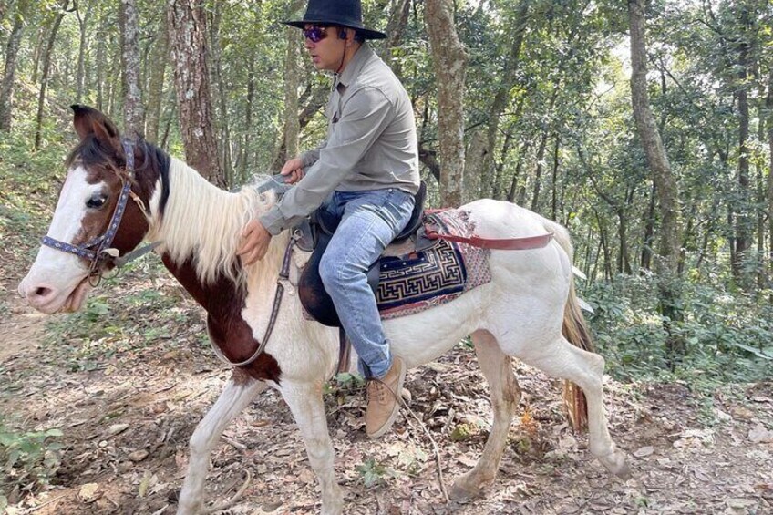 Pokhara Full Day Horse Riding Tour to Pumdikot