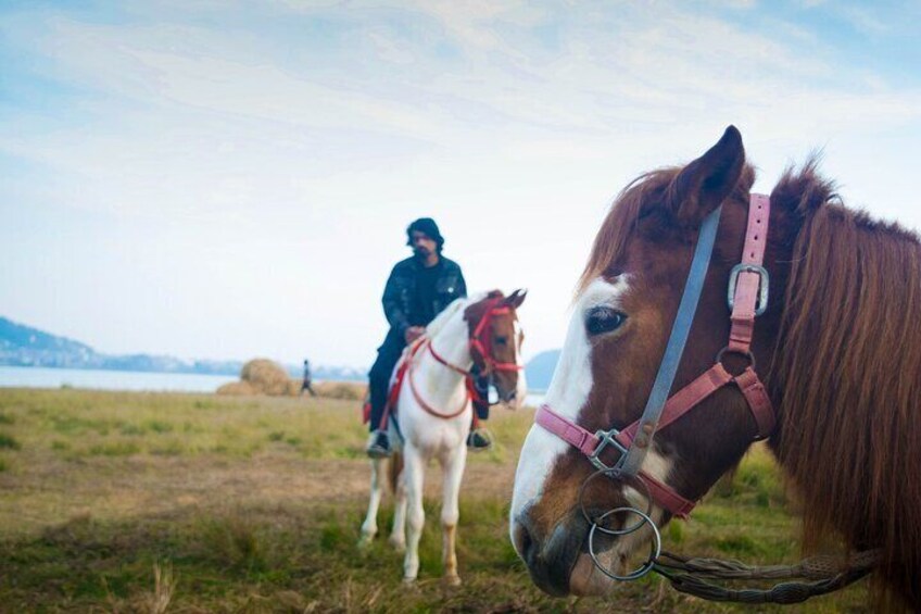 Pokhara Full Day Horse Riding Tour to Pumdikot