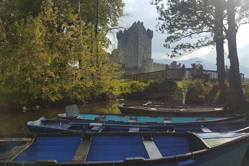 Private Tour: Killarney & Ring of Kerry Mountain Pass from Cork