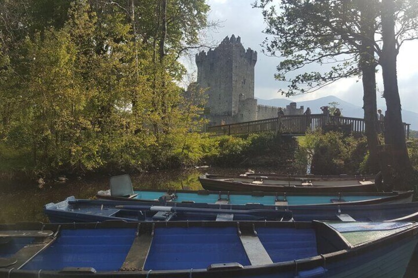 Private Tour: Killarney & Ring of Kerry Mountain Pass from Cork