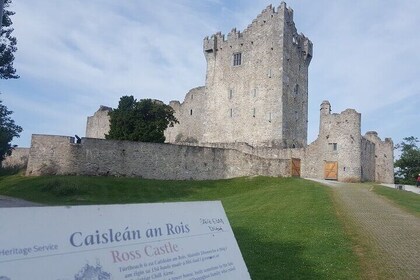 Classic Kerry Private Tour: Ring of Kerry Mountain Pass from Cork