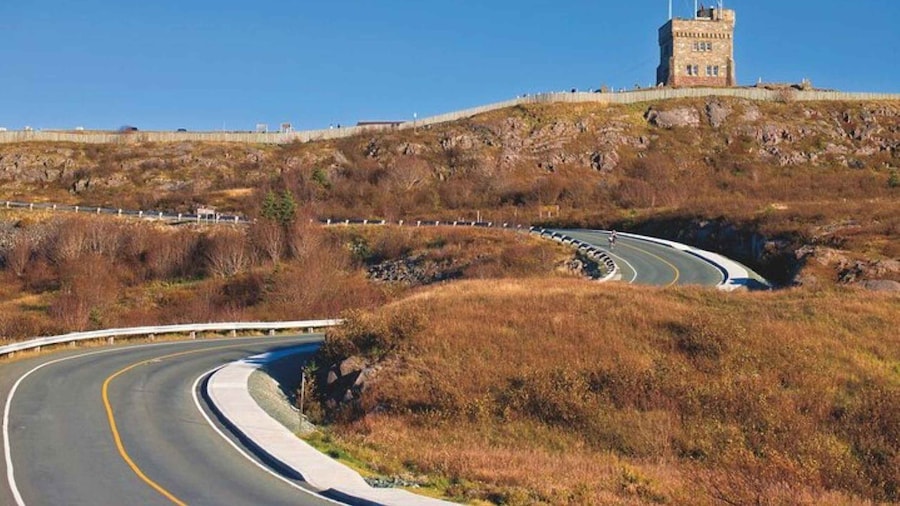 St. John's: Cape Spear and City Tour with Local Guide