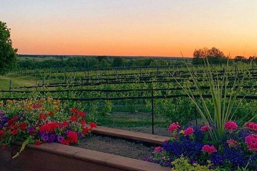 Ottawa's Wine and Cider Tour