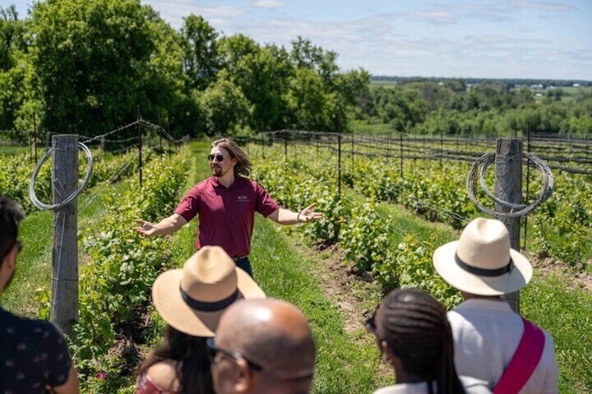 Ottawa's Wine and Cider Tour