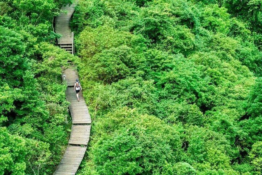 Private Tour with Private Car in Big Buddha and Lantau Island