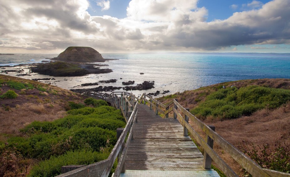 PHILLIP ISLAND PRIVATE COMPLETE TOUR