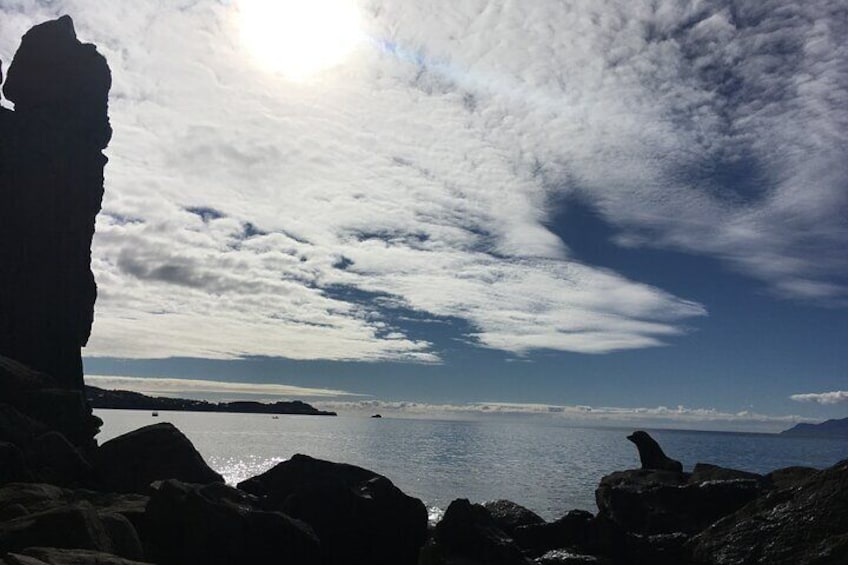 Full day Outdoor Rock Climbing Auckland at Ti Point