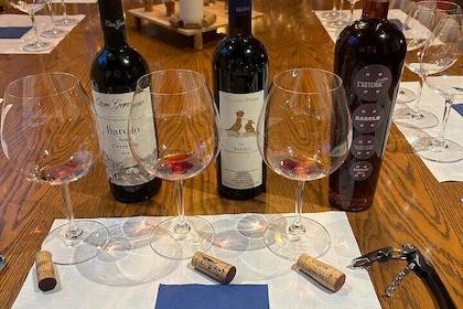 Tasting of Piedmontese wines. A journey in 5 tastings