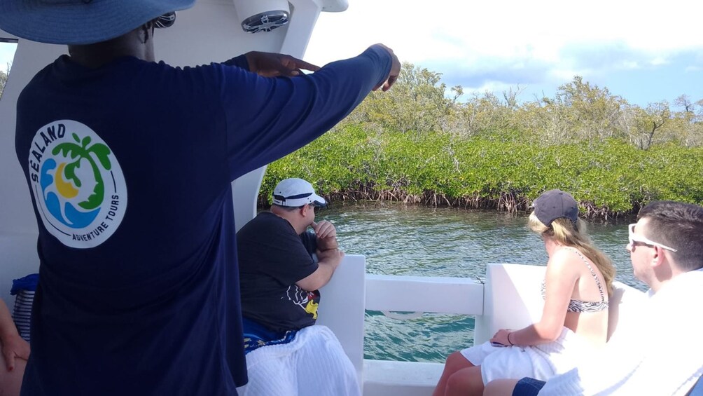 Family Friendly Mangrove Wetland & Starfish Encounter