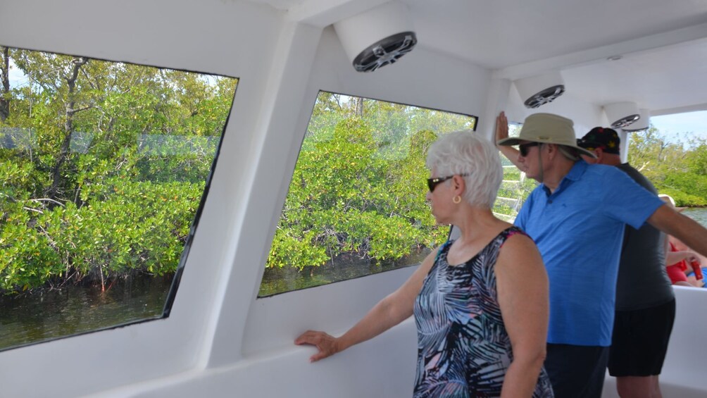 Family Friendly Mangrove Wetland & Starfish Encounter