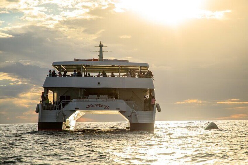 Luxury Sunset Cruise in Cabo