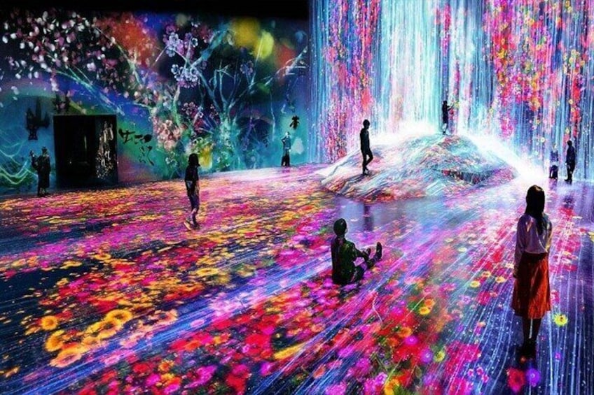 Theatre of Digital Art Entry Tickets