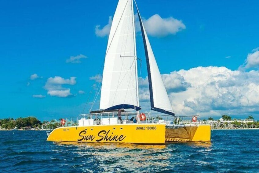 RICKS CAFE PARTY CRUISE RIU AQUARELLE transfers included