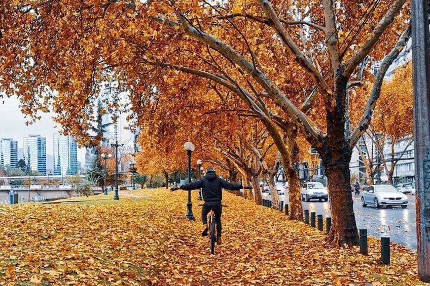 The Forest Park in the middle of Santiago downtown