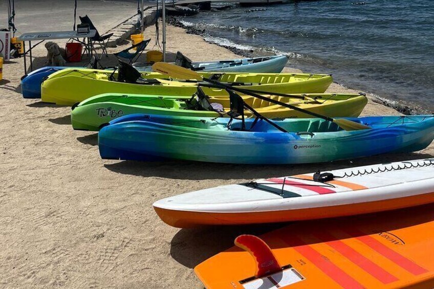 South Lake Tahoe 3-Hour Stand Up Paddleboard Rental