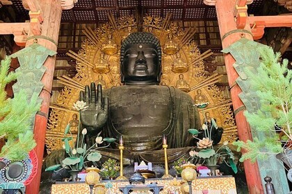 Nara: Essential Private Tour with Deer Park and Temples