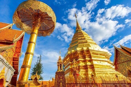 Chiang Mai Doi Suthep Temple and Wat Pha Lat Hike