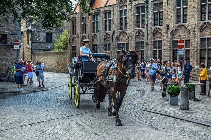 Full Day Sightseeing Day Trip to Bruges From Rotterdam