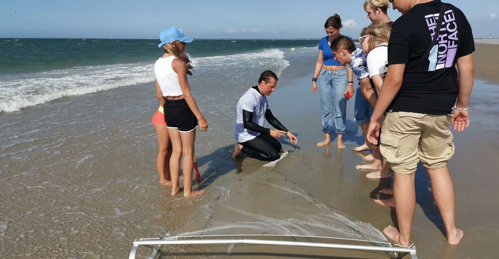 Zeeland Strand safari met sleepnet NL/EN/DE