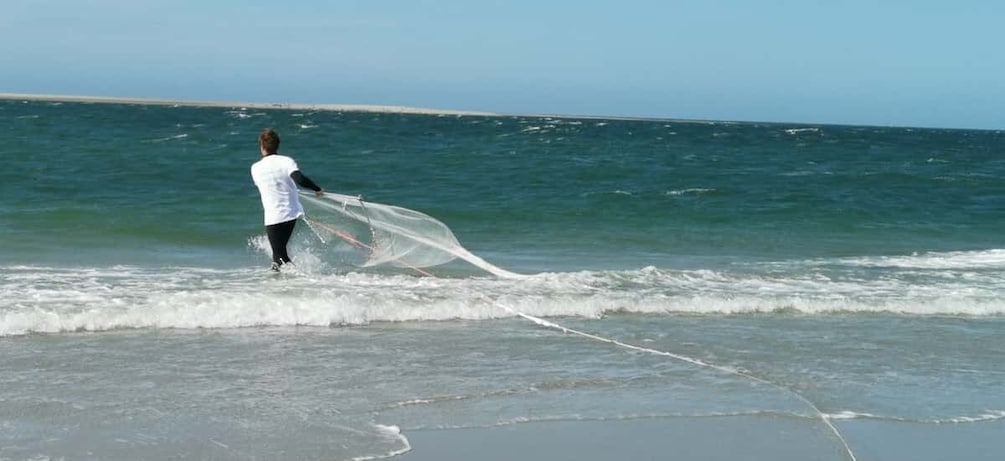 Picture 4 for Activity Zeeland Strand safari met sleepnet NL/DE