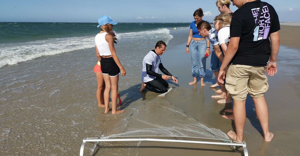 Zeeland Strand safari met sleepnet NL/DE