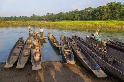 Private Jeep Safari - Canoeing - Jungle Walk in Chitwan