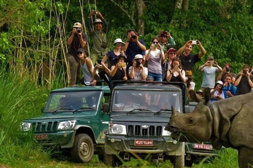 Full Day Private Jeep Safari in Chitwan National Park