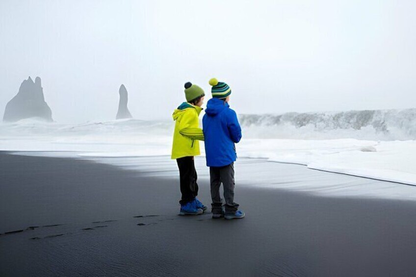Private South Coast Tour from Skarfabakki Cuise Terminal