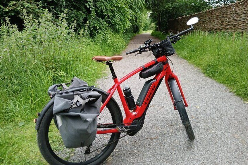 Blenheim nature spotting bike tour