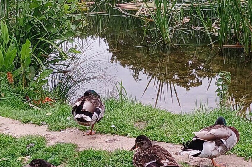 Blenheim nature spotting bike tour