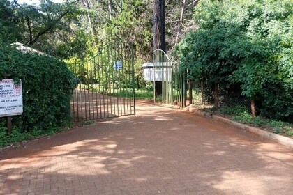 Private Day Tour to Nairobi Arboretum and Nairobi National Museum