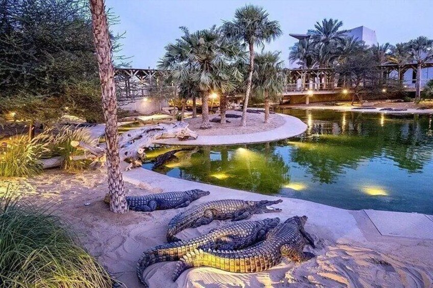 Dubai Crocodile Park Entry Tickets