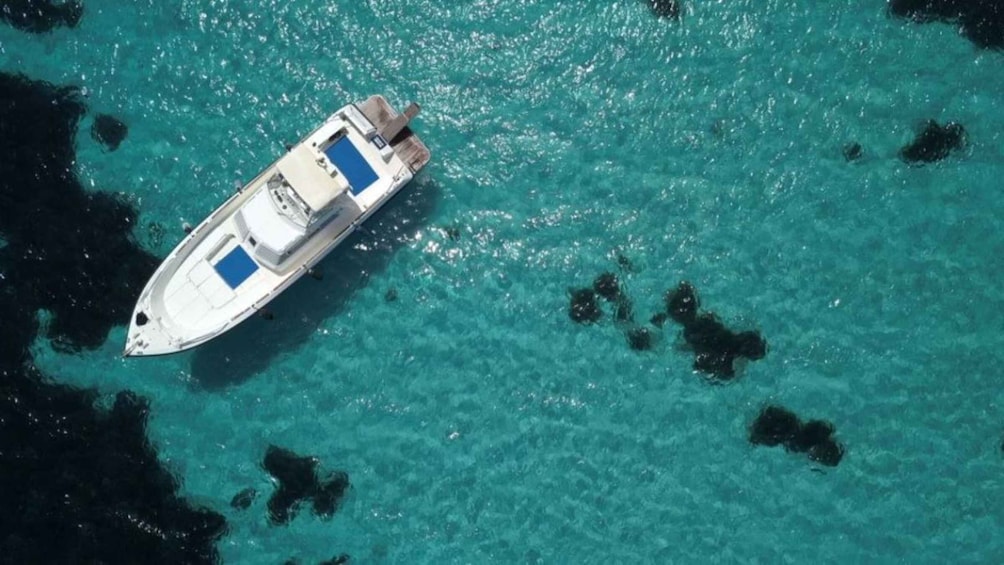 Picture 1 for Activity From Trapani: Favignana and Levanzo Yacht Tour with Lunch