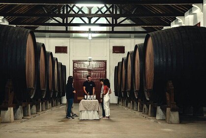 Tour to Óbidos, Mafra and 3 Wineries with 15 Tastings from Lisbon