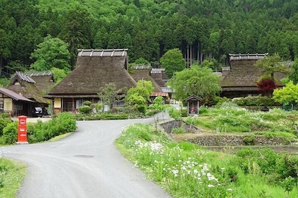 Full-day Private Tour of Miyama Thatched Village