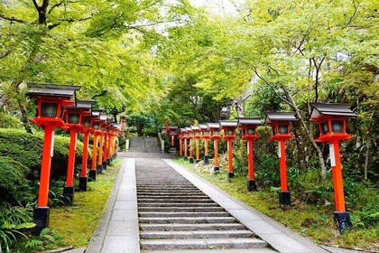 Hiking Tour for Sacred Sites in Kyoto with a Guide